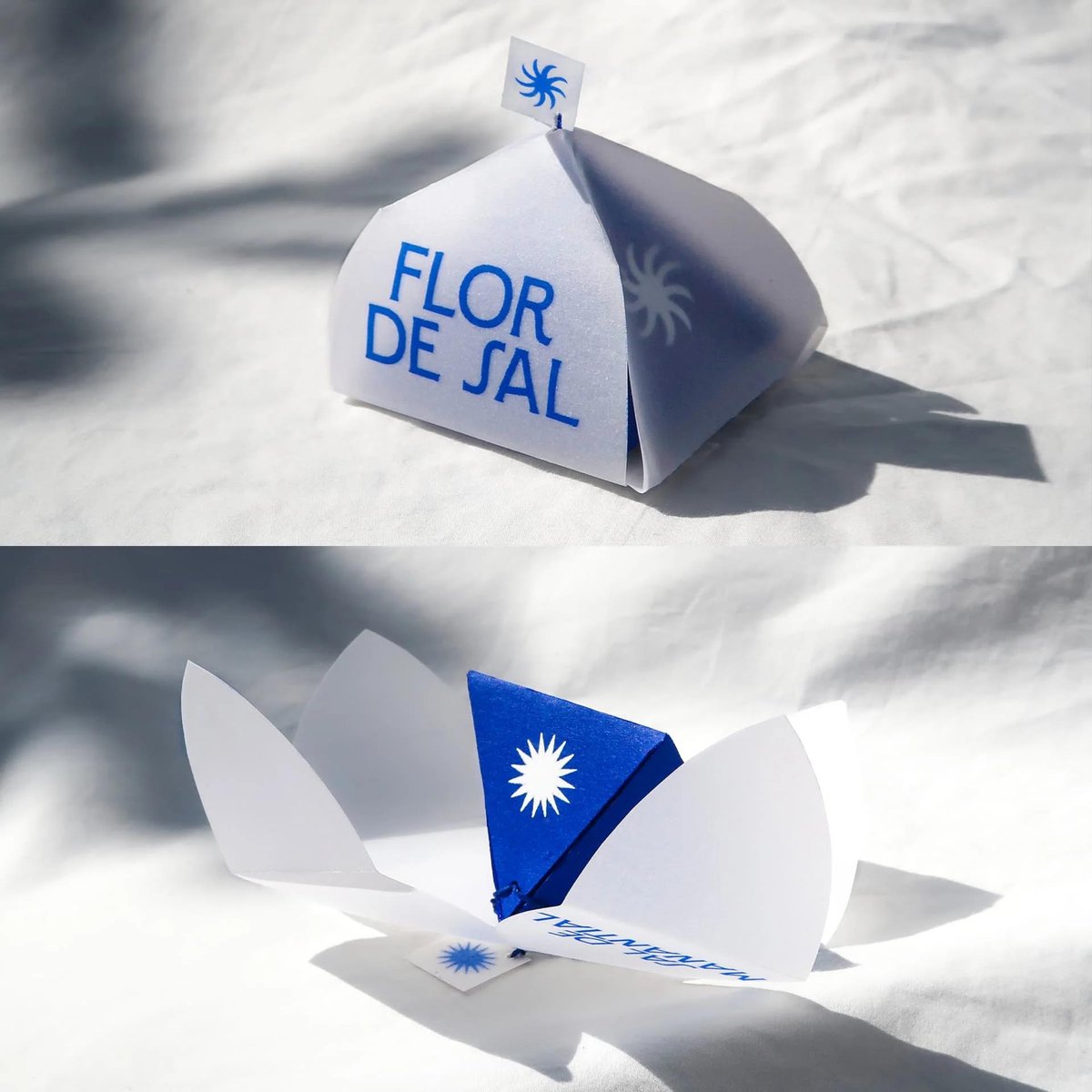 DISCIPLINE Amaya Crichton