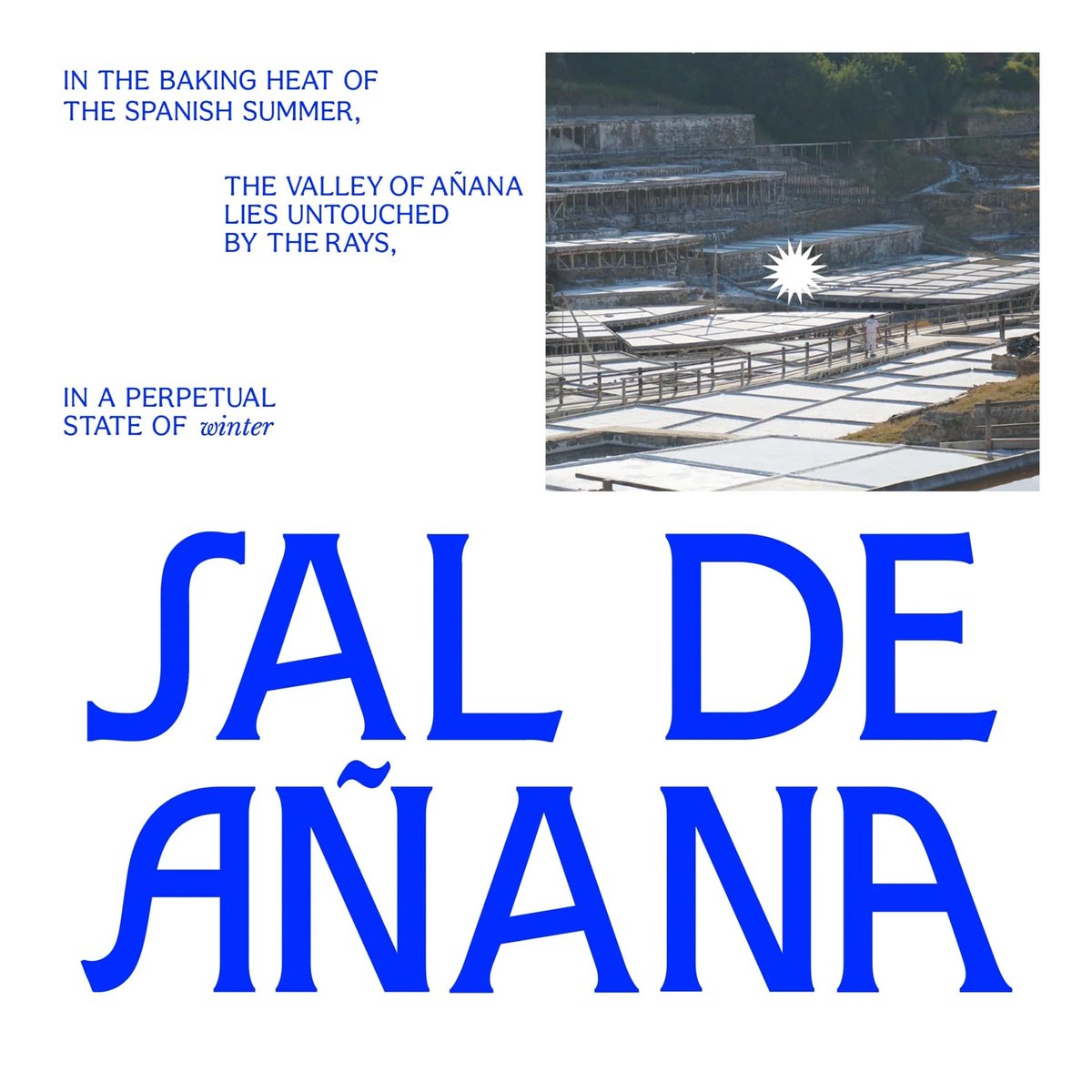 DISCIPLINE Amaya Crichton